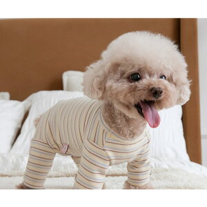 ybg  p[X  ybgEFA  ̕ hbOEFA Ȃ p㕞   Ck L ˂ lR   Xgb` {[_[ H ~ pW}  IV 킢 J