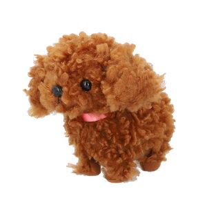 ܂˂܂˃gRgR ʂ ؂  ܂˂܂˂ʂ gRgR ܂˂܂ Ă܂˂܂ ăm}l  ̂܂ m}l l`  ׂ  킢 Ob