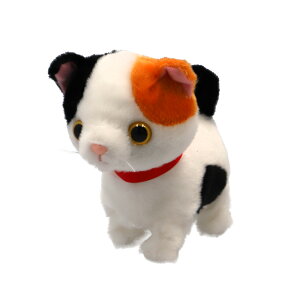 ܂˂܂˃gRgR ʂ ؂  ܂˂܂˂ʂ gRgR ܂˂܂ Ă܂˂܂ ăm}l  ̂܂ m}l l`  ׂ  킢 Ob