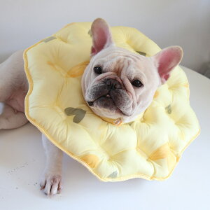 GUxXJ[ h[ic  \tg   L z GUxX J[ NbV^Cv ɂȂ _炩 y y O^Cv p p  ی h~ rߖh~ 