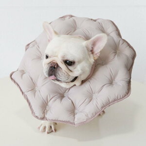 GUxXJ[ h[ic  \tg   L z GUxX J[ NbV^Cv ɂȂ _炩 y y O^Cv p p  ی h~ rߖh~ 