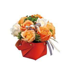 \[vt[  ʔ N[ AWgt[ A[eBtBVt[ AW  t[AWg  Mtg u t[Mtg a j ̓