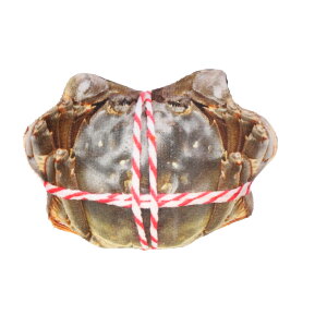 L ܂   V I` lR ˂ Lp ߋ ʂ ybggC lV }^^r ЂƂ V  v l` 킢  ybgpi ybgObY G 