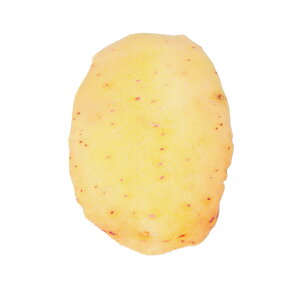 L ܂   V I` lR ˂ Lp ߋ ʂ ybggC lV }^^r ЂƂ V  v l` 킢  ybgpi ybgObY G 