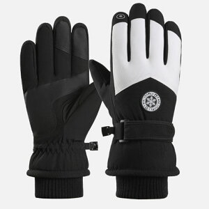 XL[O[u fB[X Y  Xm[O[u  XL[ O[u 5{w N X}zΉ ۉ ~ ׂ~ g   Xm{ Xm[{[h h h