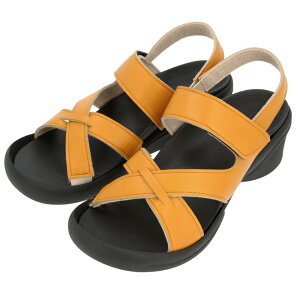 T_ fB[X ₷  L b ubN  ₷  uh Qb^ O~T_  Vv NT_  tFCNU[ RtH[gT_ v