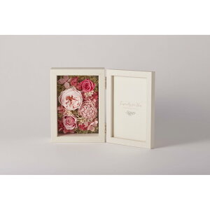 vU[uht[ ʐ^  t[Mtg vU[ht[ Petit Jardin v`W_ tHgt[   j Vzj AtHg җj ̓ 60 