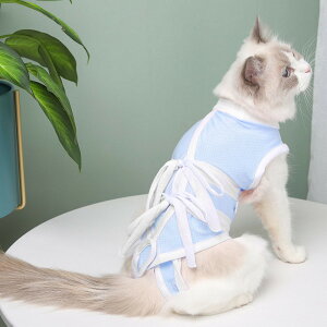 ybg  p㕞 L  hbOEFA LbgEFA 앞 ybgpp㕞 p ybgEFA ybg pW} { 킢 m[X[u ^Ngbv Ȃ D  p 