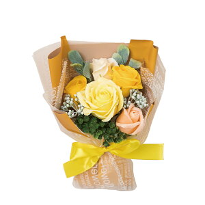 HillTop qgbv GKg~ju[P ʔ u[P \[vt[ t[\[v Όt[ V{t[ AWg   ͂Ȃ Ό ~j KN o 蕨 Mtg