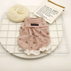 hbOEFA   ̕ ˂ ybg ybgEFA  Ck  L L̕ 킢  ^ ^ Rbg  lR Lbg t  H ~ ъ Ȃ s[X m