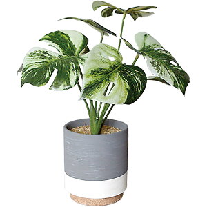 G} tFCNO[  |bg lHϗtA ϗtA A CM|bg CeAO[ C~e[VO[ L R hJr    킢  rO 