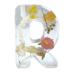 BOUTE {Ee CjVtOXfBt[U[  fBt[U[ tOXfBt[U[ [hfBt[U[ XeBbN tOX  킢 IV  