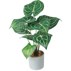 ϗtA tFCN ^  CeAO[ A[eBtBVO[ tFCNO[ lHϗtA 傫 A |bg  rO ItBX X  V z