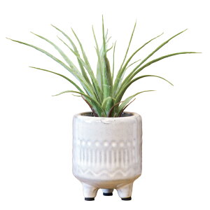 光触媒 フェイクグリーン 定番 イミテーショングリーン 人工観葉植物 インテリアグリーン 植物 飾る ポット 陶器 置物 イミテーション 消臭 抗菌 防カビ おしゃれ インテリアプランツ 癒し