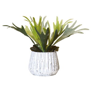 光触媒 人工観葉植物 定番 イミテーショングリーン インテリアグリーン フェイクグリーン インテリアプランツ ポット 陶器 植物 飾る 消臭 抗菌 防カビ おしゃれ 置物 イミテーション 癒し