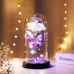 KXh[ Cg  t[Cg KX h[Cg ドCg LED  u t[   o  킢 dr   蕨 IuWF LEDCg ̓ LO