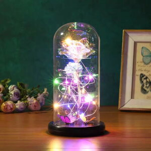 KXh[ Cg  KX h[Cg ドCg LED t[Cg LEDCg t[  o  IuWF u KXA[g 蕨̉   rO C~l[V 