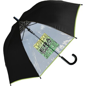 P q 55cm  WvP ʊw oZ P qǂ v ϕ OXt@Co[   w wZ Mtg v[g wj {[CY LbY P SHEIL