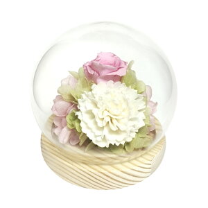 KXh[ CeA AWg  vU[ht[ vU[uht[ t[AWg t[Mtg ̂ЂTCY h[ Ԋt v`Mtg  t[