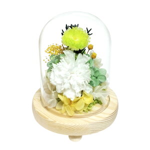 KXh[ CeA AWg L  vU[ht[ vU[uht[ t[AWg    h[ Ԋt  ~  t[ ͂Ȃ 