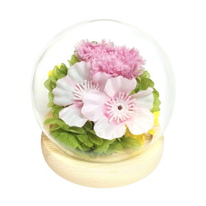  KXh[ {   vU[ht[ vU[uht[ t[AWg    ̂ЂTCY h[ h[^Cv dp ~  t[ 