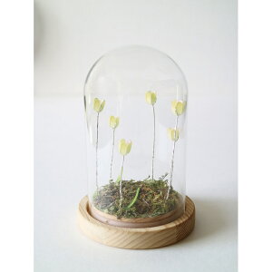 KXh[ t[   LED KX h[ `[bv KXh[S IuWF u u  킢 IV  LUMO [ LEDC~l[V CeACg 