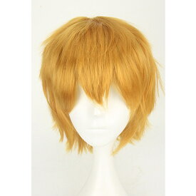 ウィッグ ショート コスプレ 定番 カラーウィッグ ショートウィッグ かつら カツラ フルウィッグ 全頭かつら コスプレ衣装 仮装用ウィッグ 男装 女装 仮装 ハロウィン 漫画 アニメ マンガ 舞台 レディース メンズ スタイリング パーティグッズ ホビー