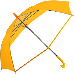 P qp  WvP ̎q j̎q P 55cm y y OXt@Co[ v 2R} n ʊw oZ uP WjA qǂP P J