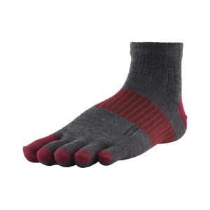 C 5{w \bNX  mE[ A[G RxL 5{w\bNX jO\bNX jZbNX X|[c\bNX ʋC Y ̗₦΍ h fB[X }\ oR E