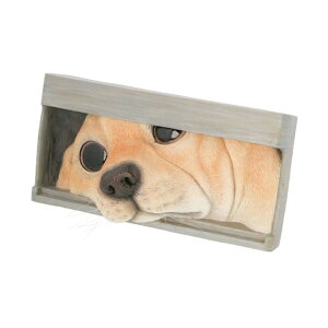 xj[Y   莆܂ QB-001 Benny's  I[ig u IuWF u  Ck 킢   IV  K[fI[ig K[fjO GNXeA C