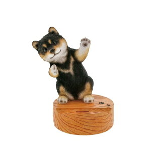 xj[Y X}zX^h  X}[gtHX^h QY-218 Benny's X}z X^h Aj}  LN^[ 킢   IV u IuWF u X}zANZT