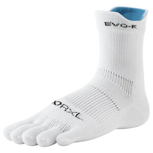 C 5{w \bNX  ̗₦΍ h A[G RxL 5{w\bNX ʋC ϋv jZbNX jO\bNX X|[c\bNX }\ Y fB[X AEghA o