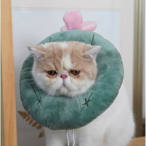 GUxXJ[ \tg Lp p  _炩 pGUxXJ[ NbV LpGUxXJ[ pEFA p PApi rߖh~ ~h~ y y ybg  L lR