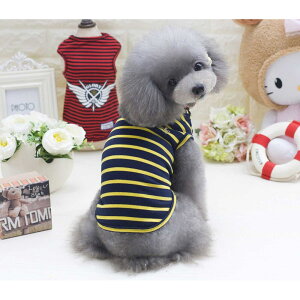  ^ ^Ngbv     ̕ ₷ ĕ t  {[_[ t  킢 Vv IV  ^p hbOEFA pi ybgpi ybgOb