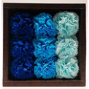 \[vt[  {bNXt[  \[v t[  oXt[ V{t[   t[Mtg ͂Ȃ   {bNX  킢 LO a 