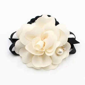 wAS LbY   RR|j[e[ 10002926  t[ p[ 傫 ̎q lۂ  w Ǝ  \ 킢 IV  wAAW w