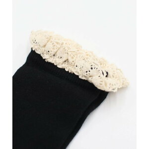 LbY ̎q nC\bNX C  t  G \bNX q ǂ qǂ tH[} JWA Vv  w  ܎O   g 킢 