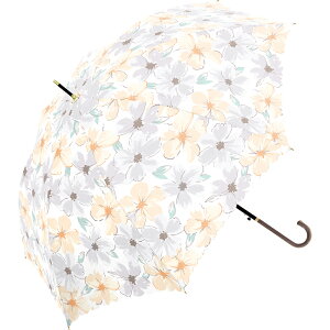  P fB[X  P Wv 60cm WvP  JT JP v OXt@Co[   l Z IV 킢 Vv fB[XP ʋ ʊw Natural basic 