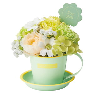 \[vt[ }OJbvt   t[ V{t[ t[Mtg  AWg \[v AW 킢  Mtg 蕨 }OJbv }O Jbv Jbvt