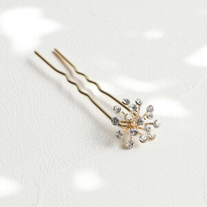 RORA wAR[  wAANZT[ wAs [ ArQC   LbY q qǂ ǂ ̎q q   LL 킢  tH[}   