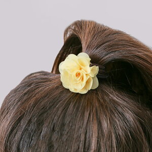 RORA wAS  wAANZT[ S [ ZVA  LbY q qǂ ǂ ̎q q    킢 IV tH[} i JWA   