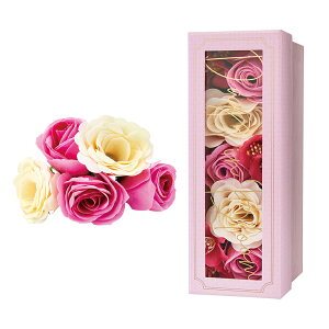 t[   ouoX oXt[ t[ oXy^ oXpi AC oXtOX A}̍ Ԃ̂ v`Mtg Ԃт畗C oX^C ؂₩ 킢