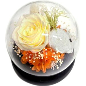 uU[ht-  t[AWg KX t[Mtg KXh[   킢  t[ j Vzj  rO zj CeA ސE 