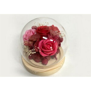 uU[ht-  KX t[Mtg KXh[   t[AWg t[ 킢  zj j Vzj  rO ސE ސEj C