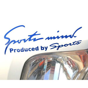  XebJ[   Ԃɓ\XebJ[ 11×35cm LLTCY JbeBOV[g O J[ANZT[ ANZT[ N} TCh {lbg A V[ fJ[ ԃANZT