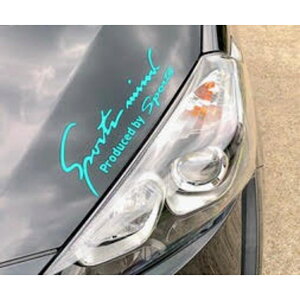  XebJ[   Ԃɓ\XebJ[ 11×35cm LLTCY JbeBOV[g O J[ANZT[ ANZT[ N} TCh {lbg A V[ fJ[ ԃANZT