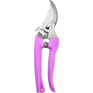 ΂  }؂oT~  |΂ nT~ ͂ | K[fjO oT~ }؂΂ ^ }؂ Ԓf @\  G쏜 ƒ؉  