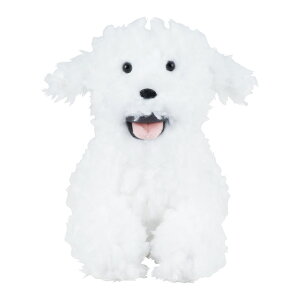 tbs[ ʂ NbV  h[ l` EFJNbV }XRbg EFJ LN^[  flappee 킢  Aj}  CeAG G ObY Mt