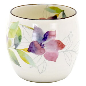 ۂ   ̂  { Ԃ̂ Jbv H  ̂ aH Rbv M dqWok t[Jbv  IV ی^ ZĂ Lb`G a j 