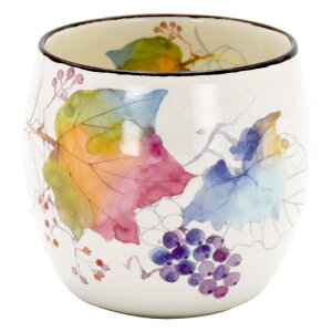 ۂ   ̂  { Ԃ̂ Jbv H  ̂ aH Rbv M dqWok t[Jbv  IV ی^ ZĂ Lb`G a j 